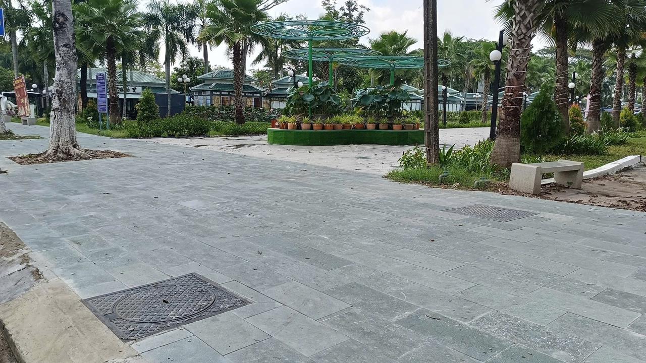 Dự án 1
